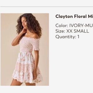 Altar'd State Pink and Green Floral Textured dress